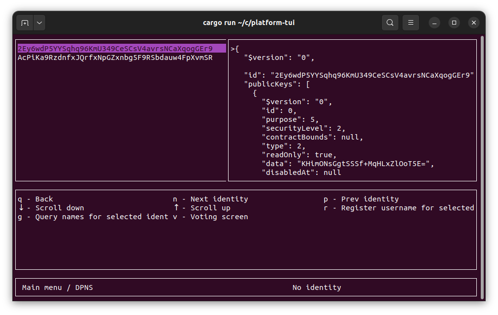 DPNS screen